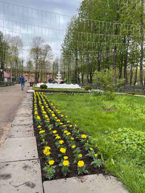 Сегодня В Лопатинском саду на главных аллеях парка были высажены цветы.