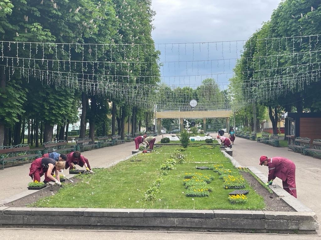 План лопатинского сада